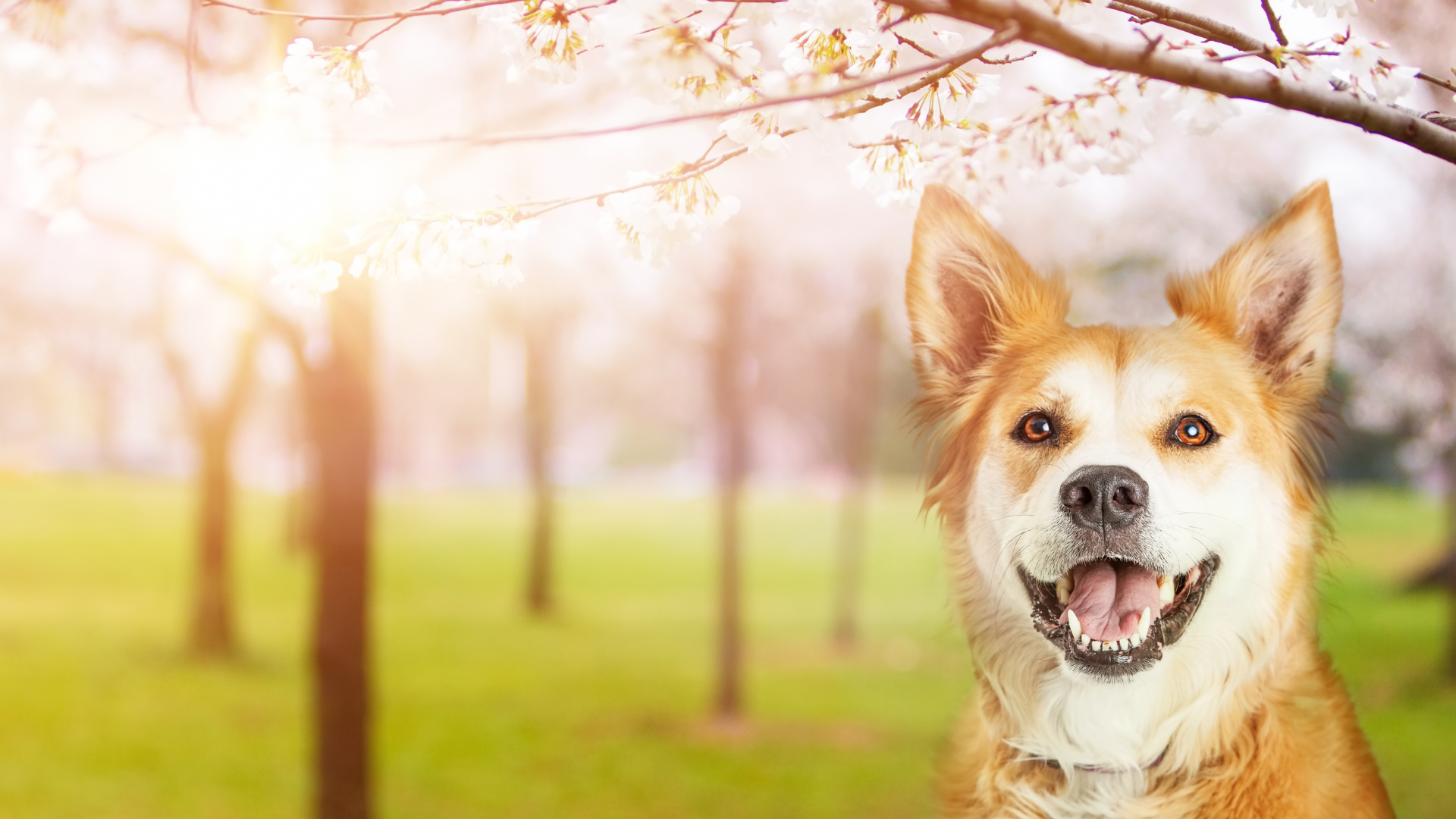 Tapahtuman kansikuva