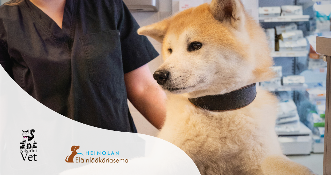 Lauantaiaukioloajat_julkaisut 3