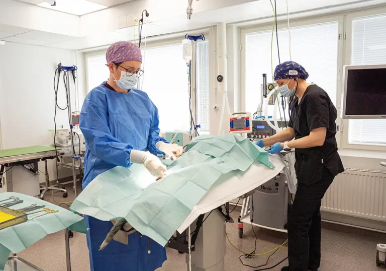 Elainlaakari paijat hame